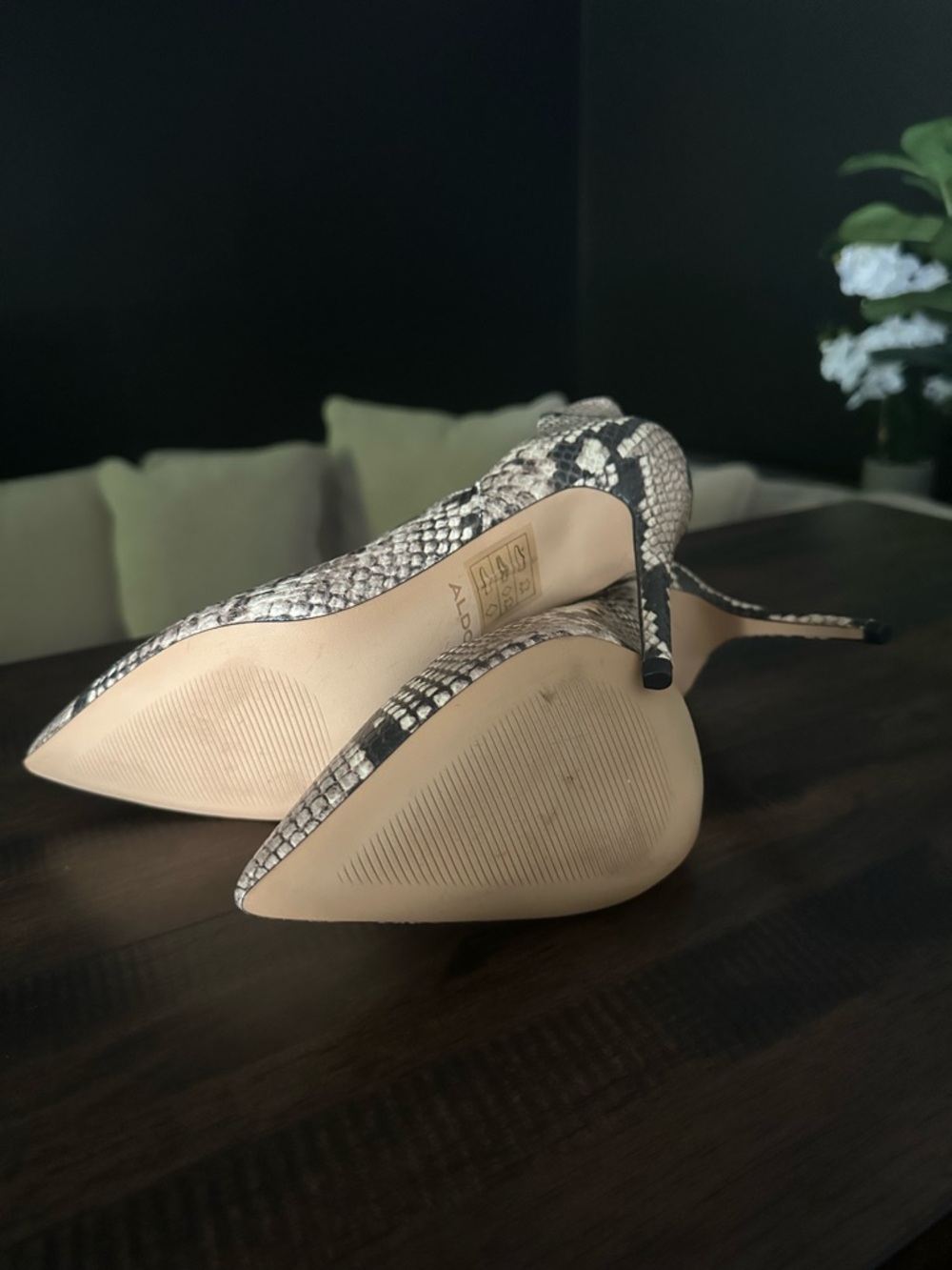 Aldo Snake-Print Booties - Beige/Black - Picture 5 of 5
